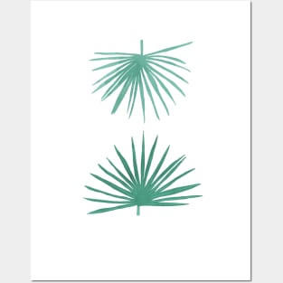 Petticoat Palms Posters and Art